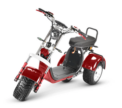 SoverSky T7.4 4000w Golf Trike Scooter
