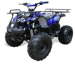 Coolster 3125XR8U 125cc Off Road Mid Four Wheeler Gas ATV