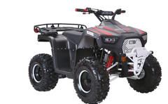 Coolster 3125UF Lander-XD 125CC Gas Kids ATV