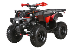 Coolster 3200S 175CC Fully Automatic Full Sized Utility ATV