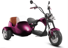 Eahora M1P Sidecar 2000w Electric Chopper Scooter