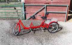 Belize Bike Twin Tri-Rider Tandem Trike