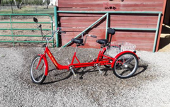 Belize Bike Twin Tri-Rider Tandem Trike [IN STOCK]