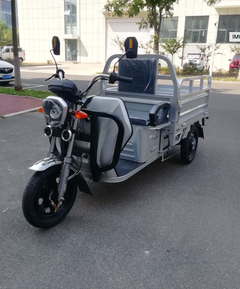 PET Electric Cargo Truck