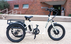 Emojo Bull 500W Fat Tire Electric Trike