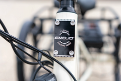 Emojo Bull 500W Fat Tire Electric Trike