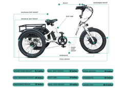 Emojo Bull 500W Fat Tire Electric Trike