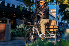 Emojo Bison S 500w Fat Tire Electric Trike