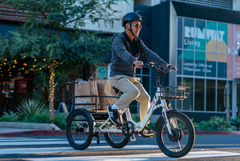 Emojo Bison S 500w Fat Tire Electric Trike