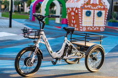 Emojo Bison S 500w Fat Tire Electric Trike