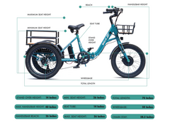 Emojo Bison S 500w Fat Tire Electric Trike