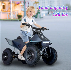 PFW 24V350W XW-EA14 KIDS ATV