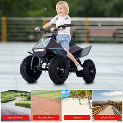 PFW 24V350W XW-EA14 KIDS ATV