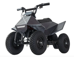 PFW 24V350W XW-EA14 KIDS ATV
