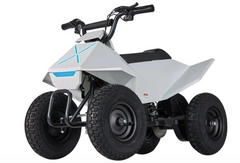 PFW 24V350W XW-EA14 KIDS ATV
