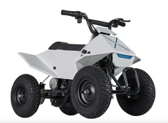 PFW 24V350W XW-EA14 KIDS ATV