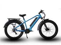 Eunorau FAT-HD 48V1000W Fat Tire Electric Mountain Bike