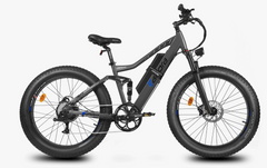 Eahora AM200 Electric Bicycle