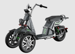 Soversky T100 4000w 50AH 3 Wheel Electric Trike