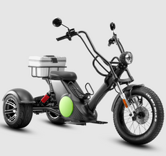 Eahora M6G 2000w Electric Trike