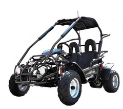 TRAILMASTER Mid XRX 2-SEATER GO KART