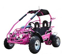 TRAILMASTER Mid XRX 2-SEATER GO KART