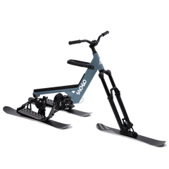 Sno Go Shift Ski Bike