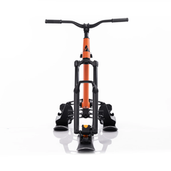 Sno Go Shift Ski Bike