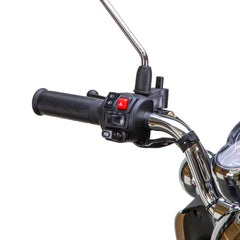 Bespoke Supreme Scooter 15 mph 600 watt 48 volts