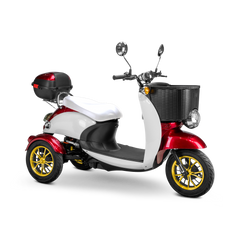 Bespoke Supreme Scooter 15 mph 600 watt 48 volts