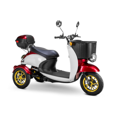 Bespoke Supreme Scooter 15 mph 600 watt 48 volts