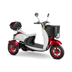 Bespoke Supreme Scooter 15 mph 600 watt 48 volts