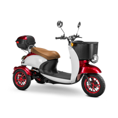 Bespoke Supreme Scooter 15 mph 600 watt 48 volts