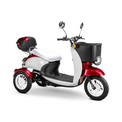 Bespoke Supreme Scooter 15 mph 600 watt 48 volts