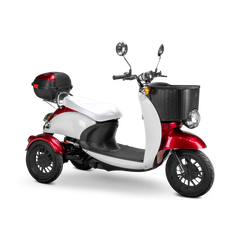 Bespoke Supreme Scooter 15 mph 600 watt 48 volts