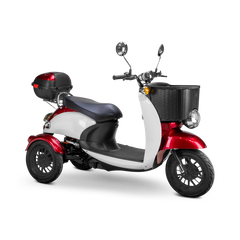 Bespoke Supreme Scooter 15 mph 600 watt 48 volts