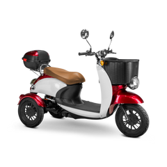 Bespoke Supreme Scooter 15 mph 600 watt 48 volts