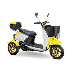 Bespoke Supreme Scooter 15 mph 600 watt 48 volts