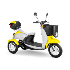 Bespoke Supreme Scooter 15 mph 600 watt 48 volts