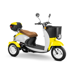 Bespoke Supreme Scooter 15 mph 600 watt 48 volts