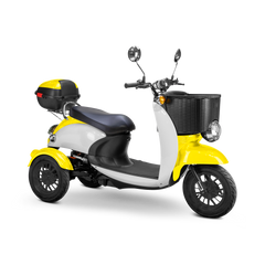 Bespoke Supreme Scooter 15 mph 600 watt 48 volts
