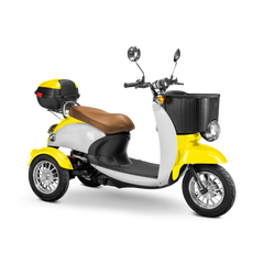Bespoke Supreme Scooter 15 mph 600 watt 48 volts
