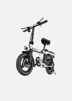 Engwe T14 350W Folding E-Bike with 48V 10Ah Battery