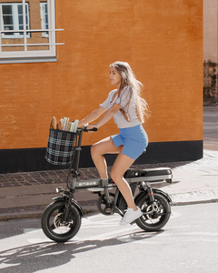 Engwe T14 350W Folding E-Bike with 48V 10Ah Battery