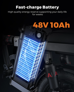Engwe T14 350W Folding E-Bike with 48V 10Ah Battery