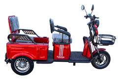 Pushpak 3000 650W Two Seater Mobility Scooter