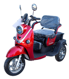 Pushpak 1000 650W 2-Person Electric Trike