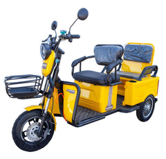 Pushpak 3000 650W Two Seater Mobility Scooter