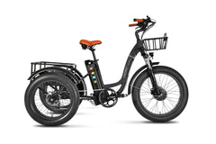 EMMO Trobic Pro CARGO ELECTRIC TRICYCLES