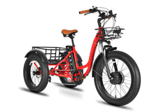 EMMO Trobic Pro CARGO ELECTRIC TRICYCLES